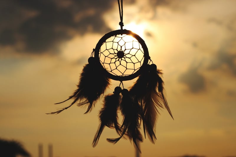 Pursue Dreams
